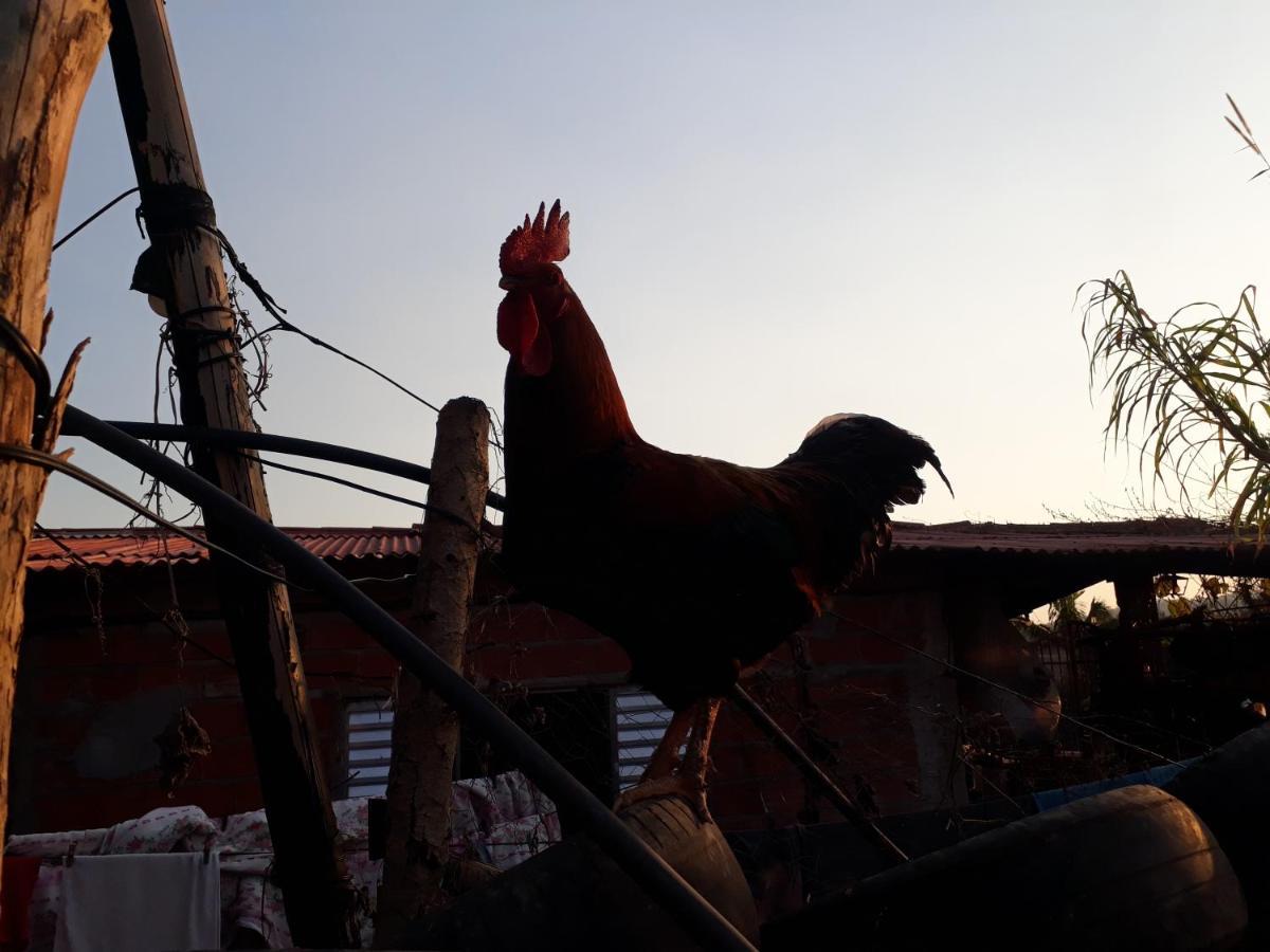 Chacara Chiafarelli Pension São Roque Buitenkant foto