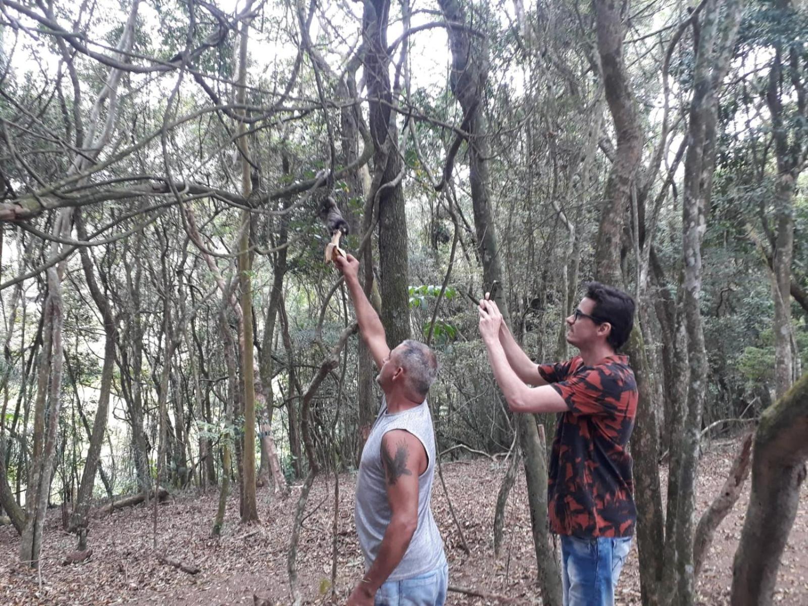 Chacara Chiafarelli Pension São Roque Buitenkant foto